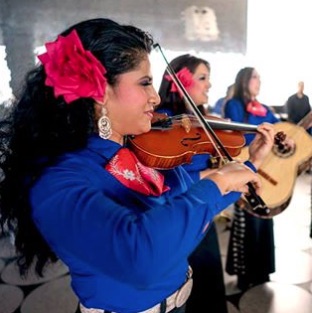 Rosas Divinas / Violinist Violinist